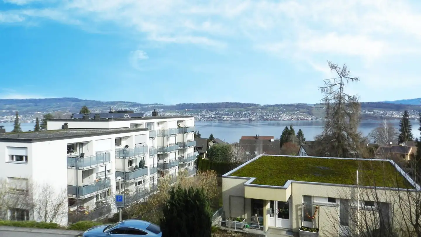 Appartement à vendre - Schönenbergstrasse, 8820 Wädenswil
