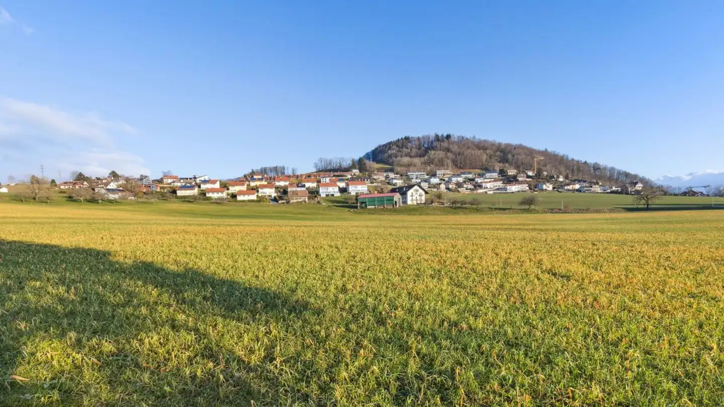 Maison individuelle à vendre - Chemin De Jordillon 1, 1090 La Croix (Lutry)
