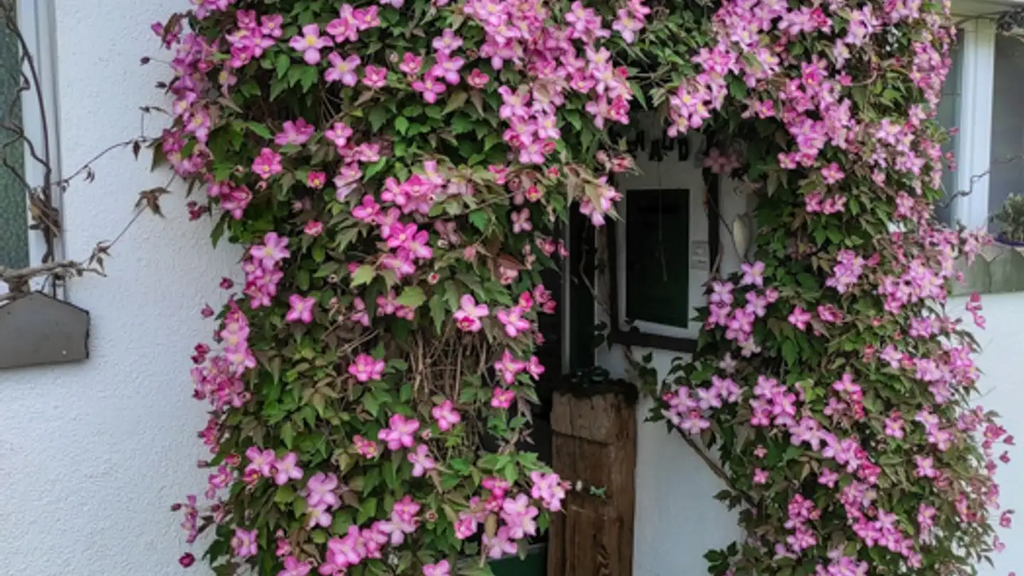 Casa singola in vendita - Berghalde 10, 8332 Russikon - Photo 4