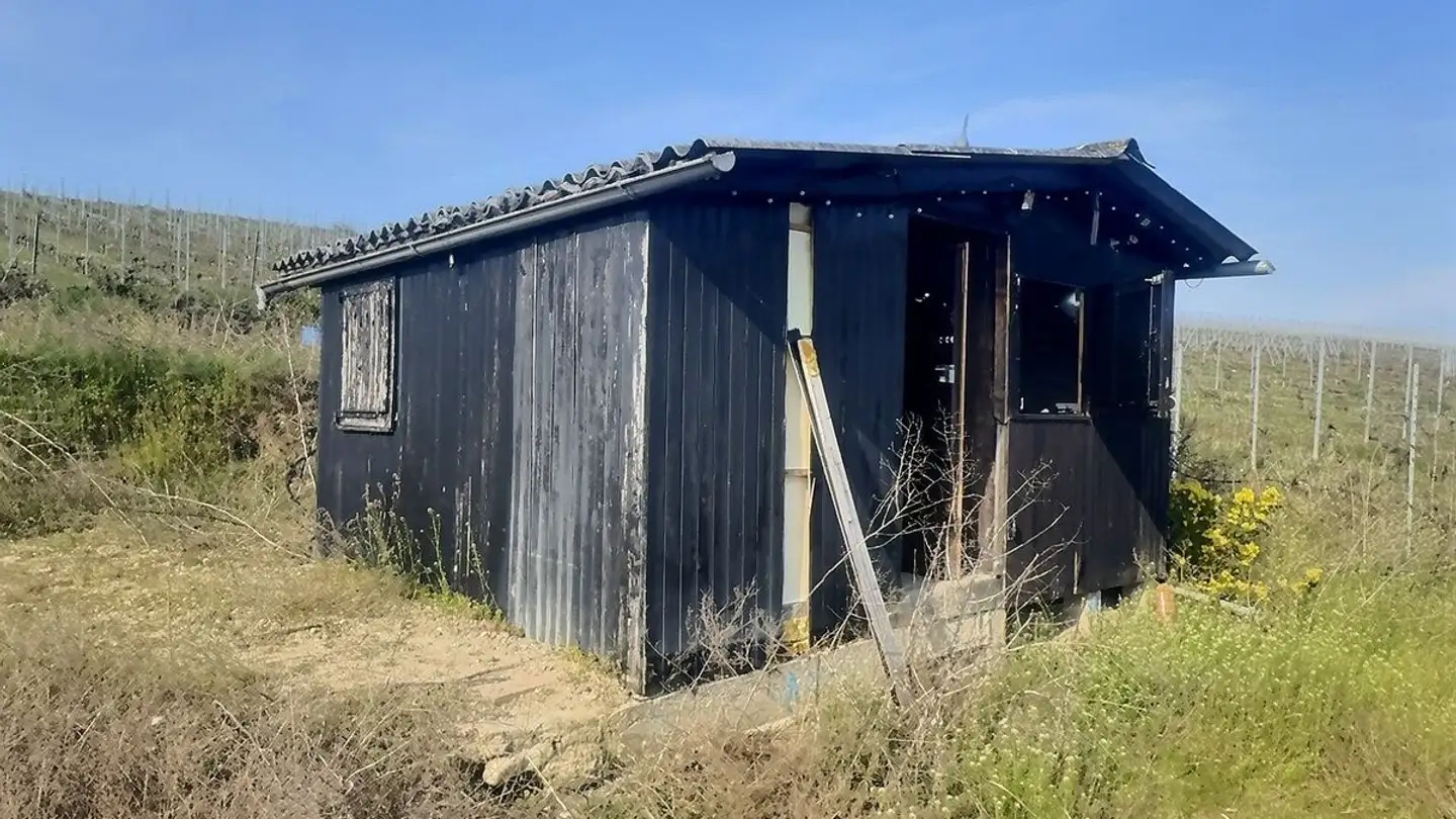 Einfamilienhaus kaufen - 1233 Bernex - Foto 3