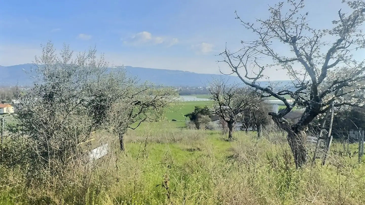 Einfamilienhaus kaufen - 1233 Bernex - Foto 4