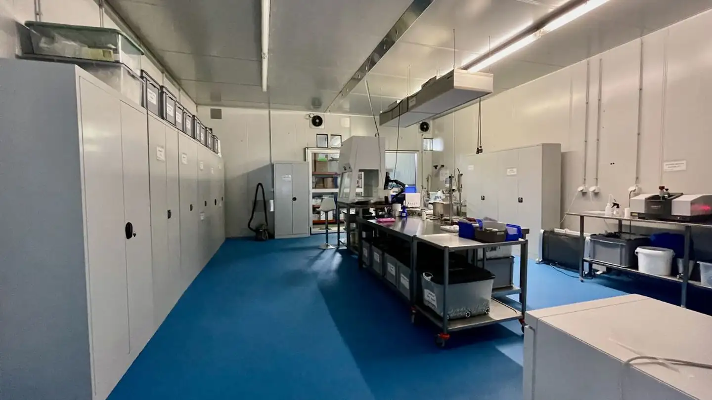 Proprietà industriale in vendita - 3979 Grône - Photo 4