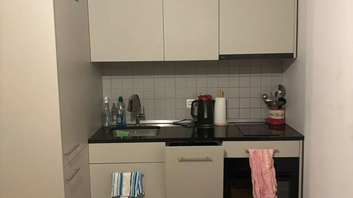 Studio for rent - Chemin De Perruet 31, 1880 Bex - Photo 2