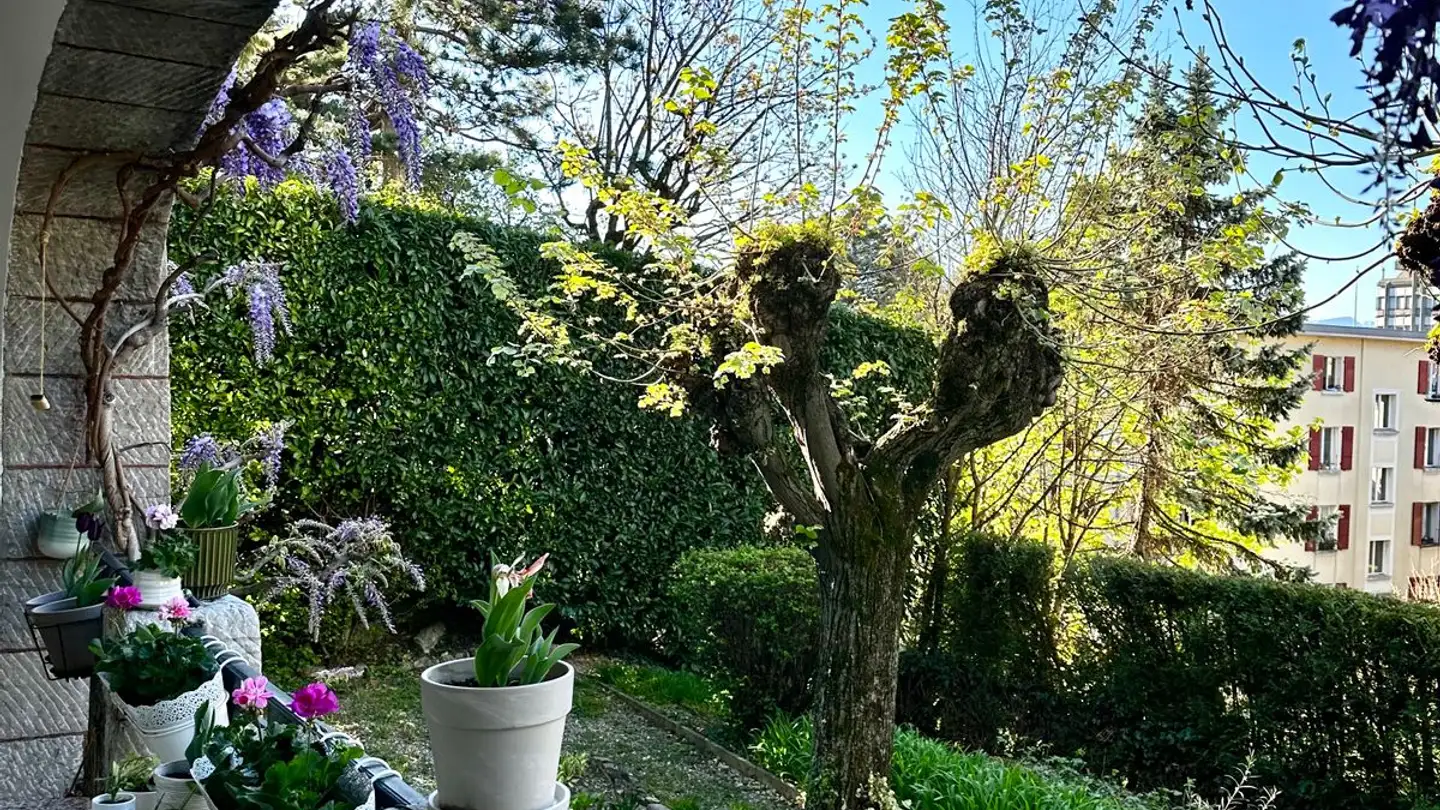 Single room for rent - Avenue Du Mont-D'or, 1007 Lausanne - Photo 4
