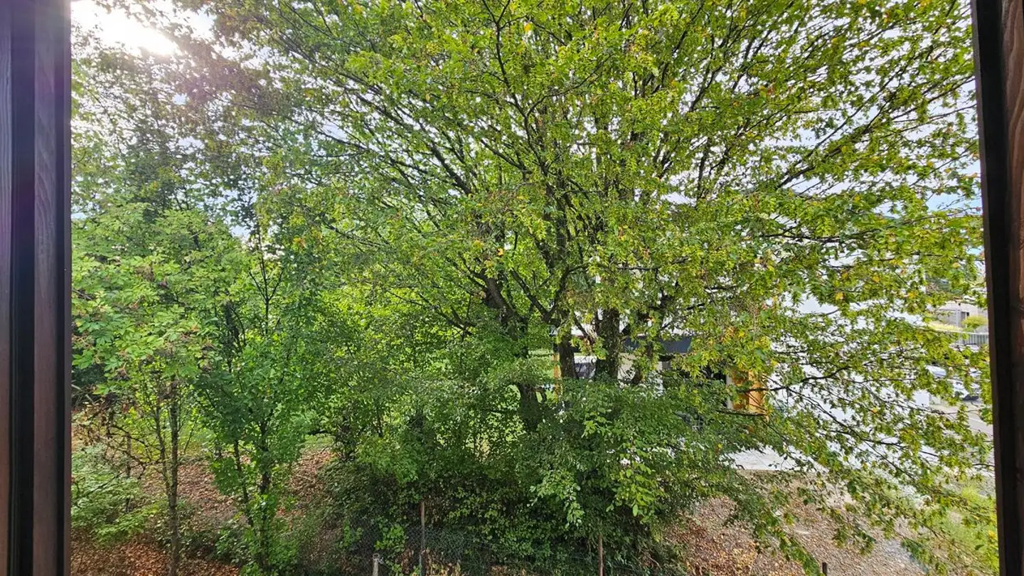 Zimmer mieten - 8624 Grüt (Gossau ZH) - Foto 4