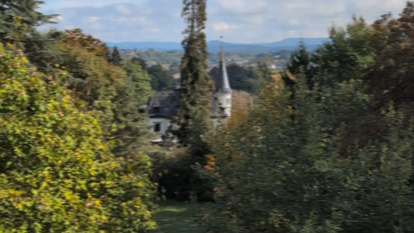 Stanza singola in affitto - Oelbergweg, 8200 Schaffhausen