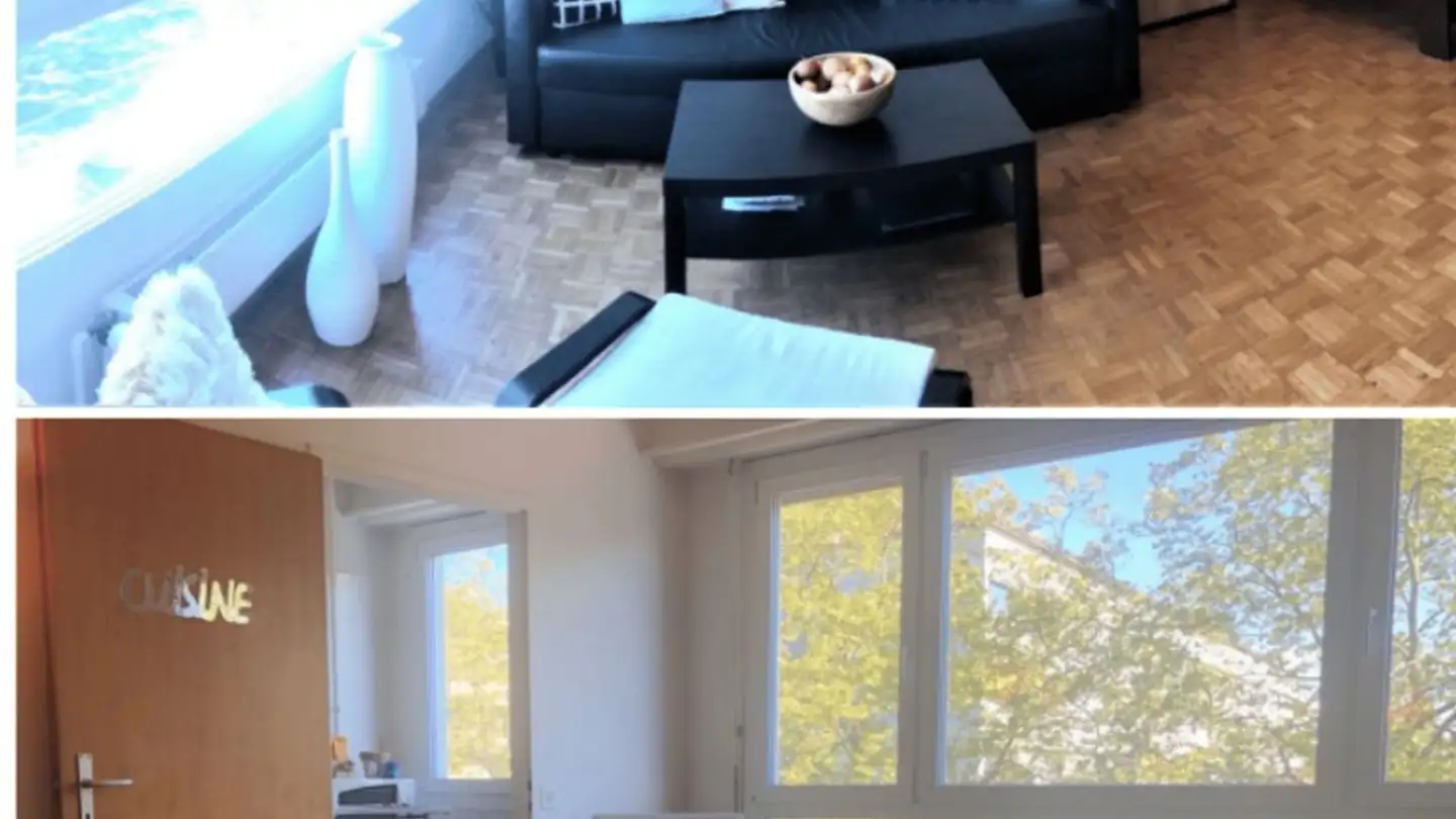 Studio à louer - Rue De Lyon 81, 1203 Genève - Photo 2