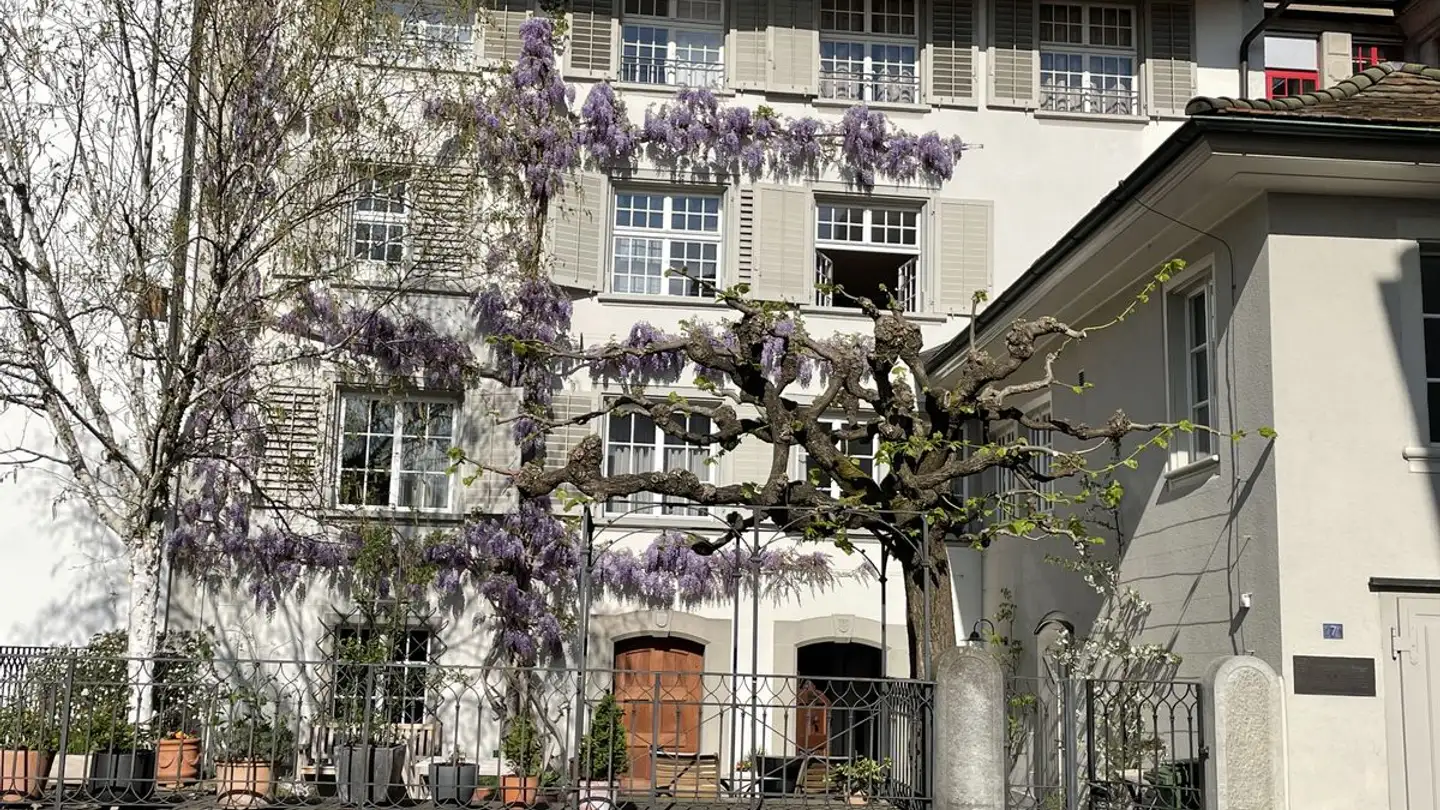 Apartment for rent - Hintere Hauptgasse 7, 4800 Zofingen