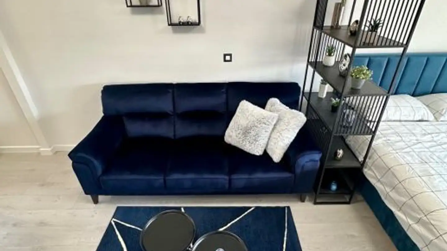Studio for rent - Rue De L' Ecole-De-Médecine, 1205 Genève - Photo 3
