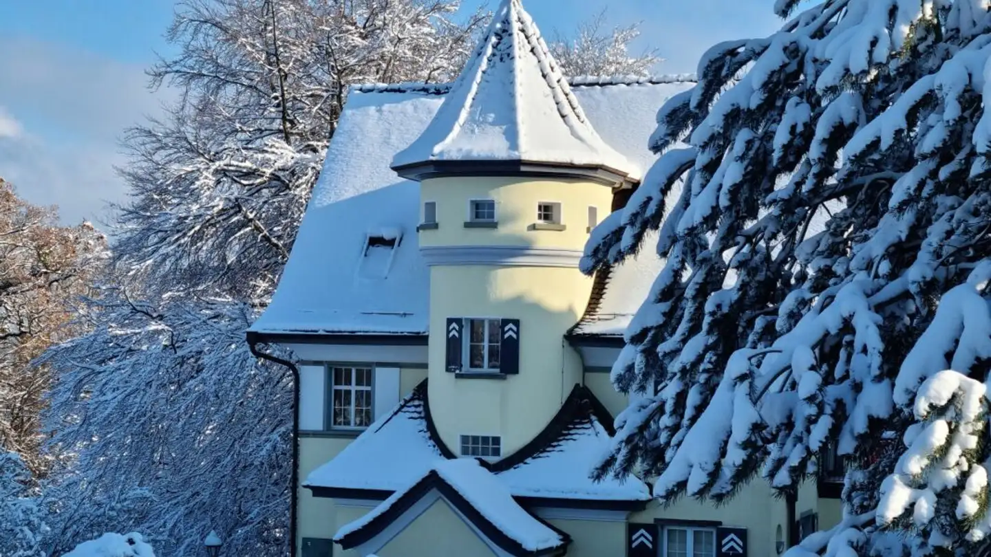 Villa à vendre - Seebleichestrasse 54, 9404 Rorschacherberg