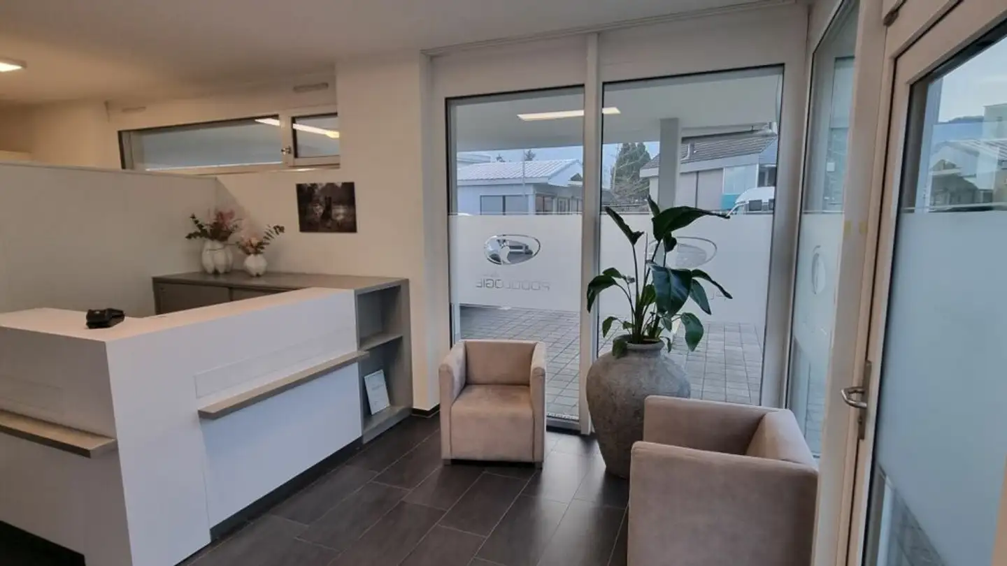 Sala hobby in affitto - Steigstrasse 16a, 9444 Diepoldsau - Photo 2