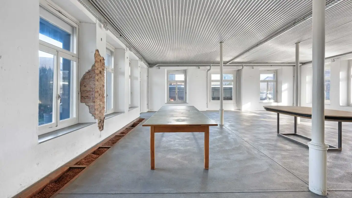 Office space for sale - Wiesgasse 7, 9444 Diepoldsau - Photo 3