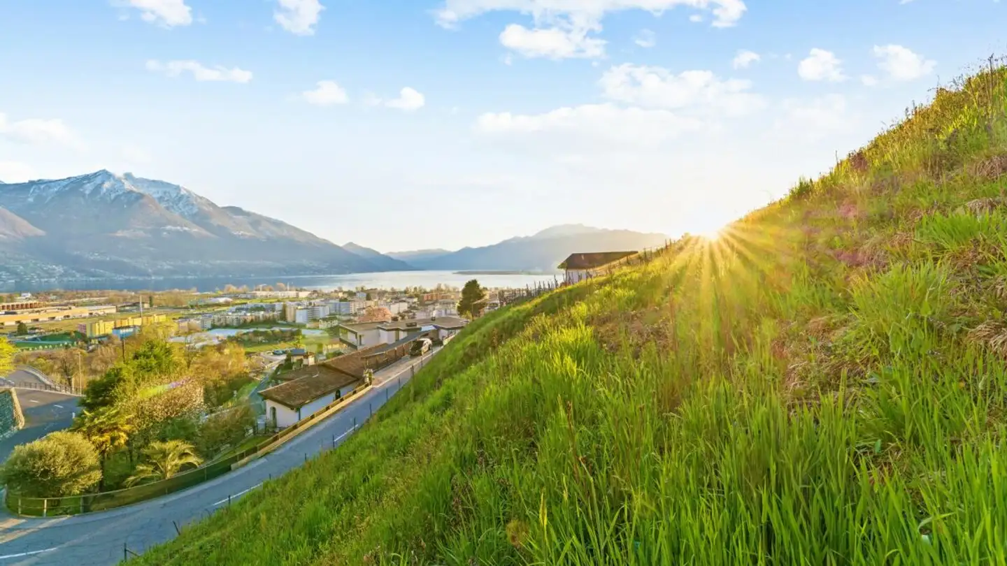 Constructible plot for sale - 6596 Gordola