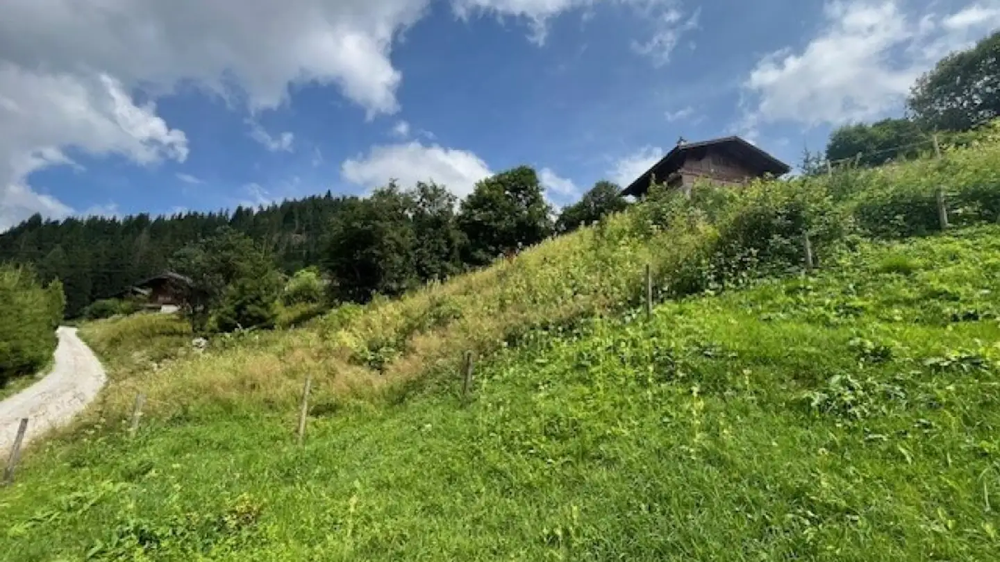Terreno edificabile in vendita - Mösli, 1716 Schwarzsee - Foto 4