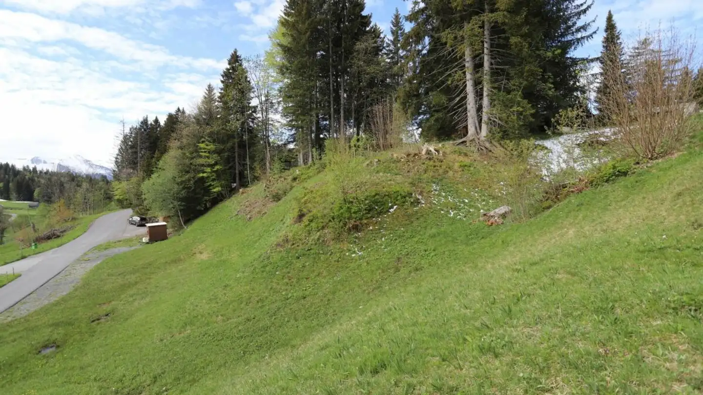 Bauland kaufen - Leistkammstrasse, 8873 Amden