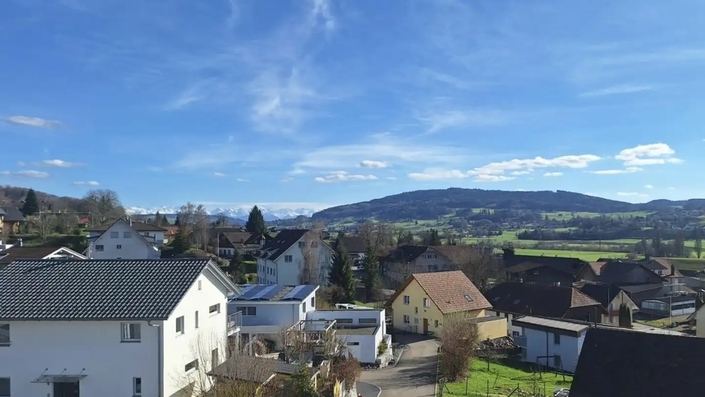 Appartement à vendre - Birrwilerstrasse 63, 5732 Zetzwil - Photo 4