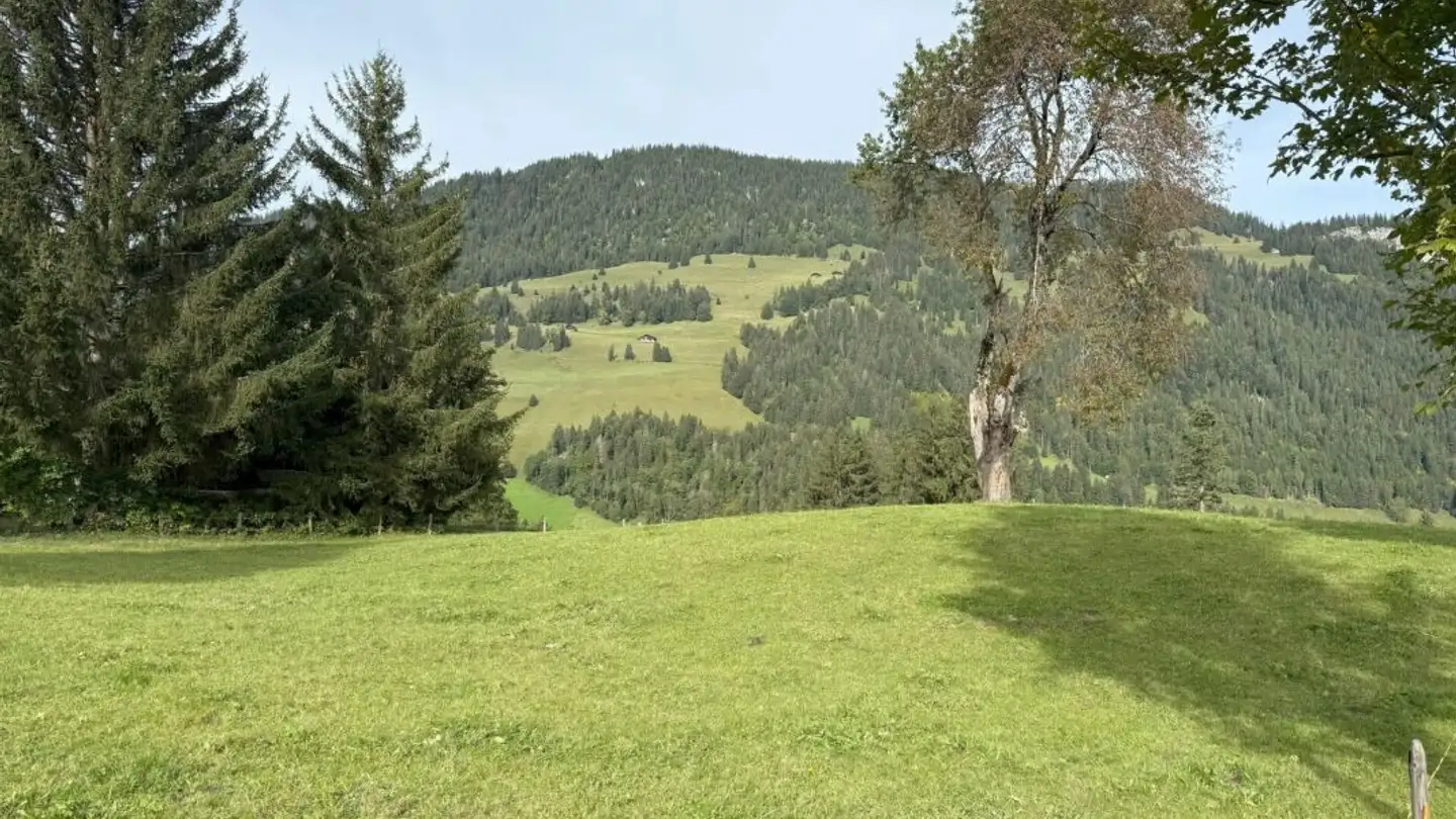 Terrain constructible à vendre - Wyermattenstrasse 2, 3776 Oeschseite