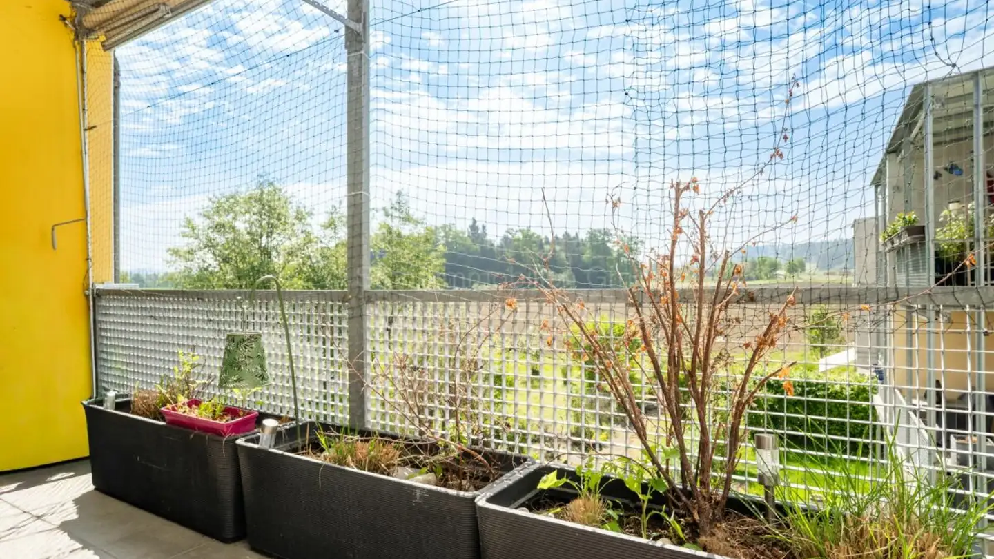 Wohnung kaufen - In Der Weid 6, 8472 Seuzach - Foto 4