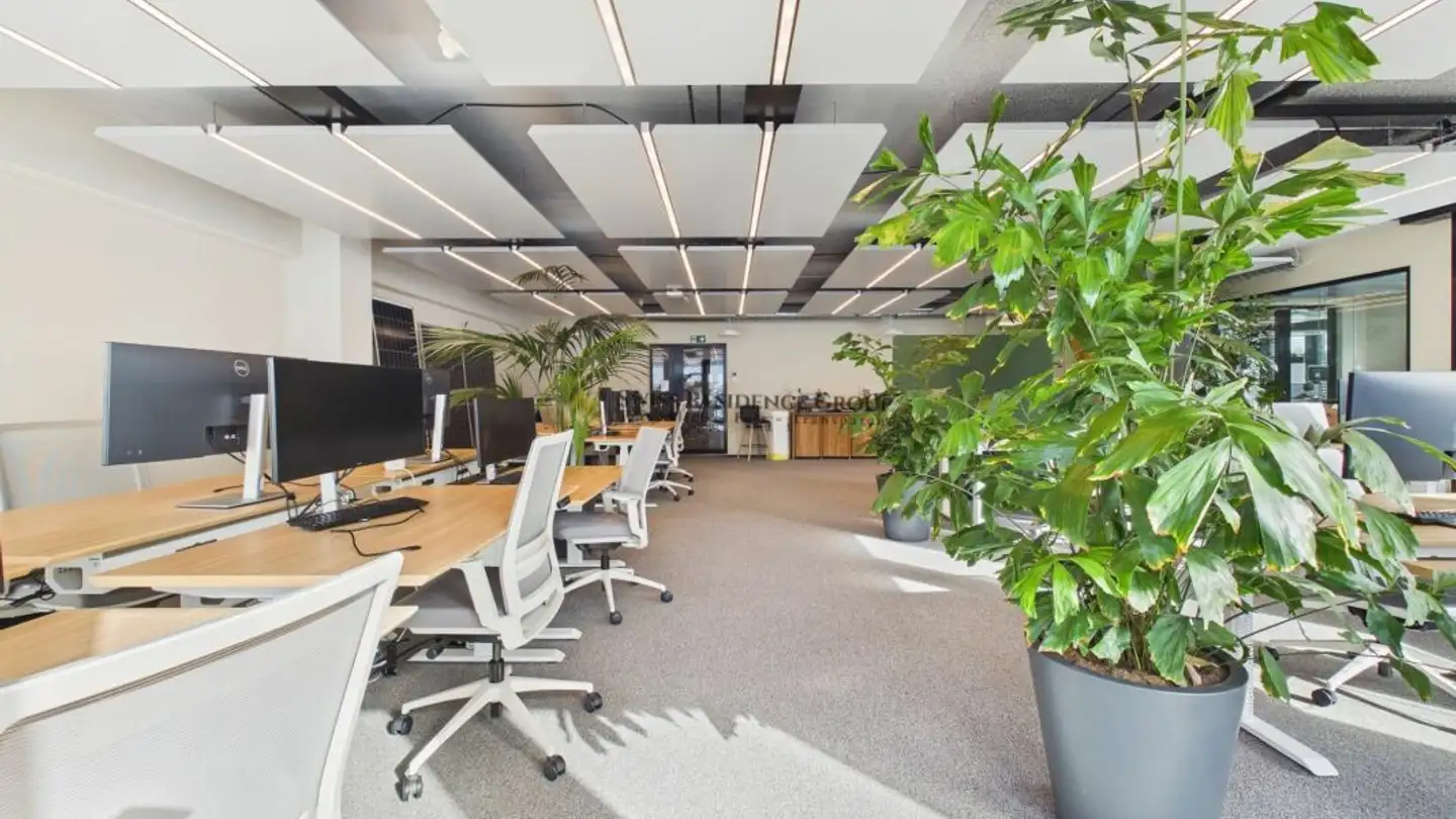 Bureau à louer - 8045 Zürich - Photo 3