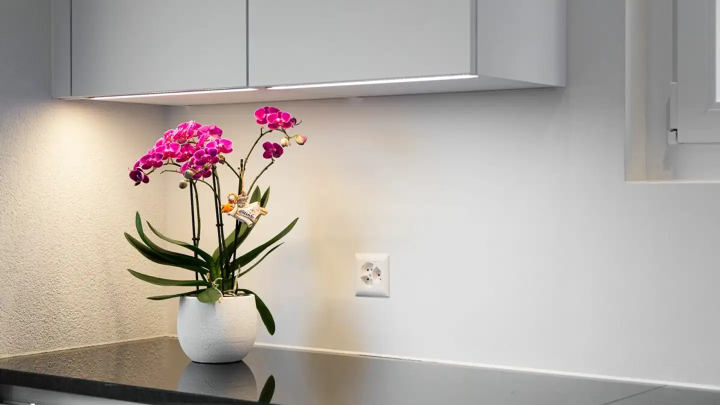 Einfamilienhaus kaufen - Eichwaldstrasse 3, 5079 Zeihen - Foto 4