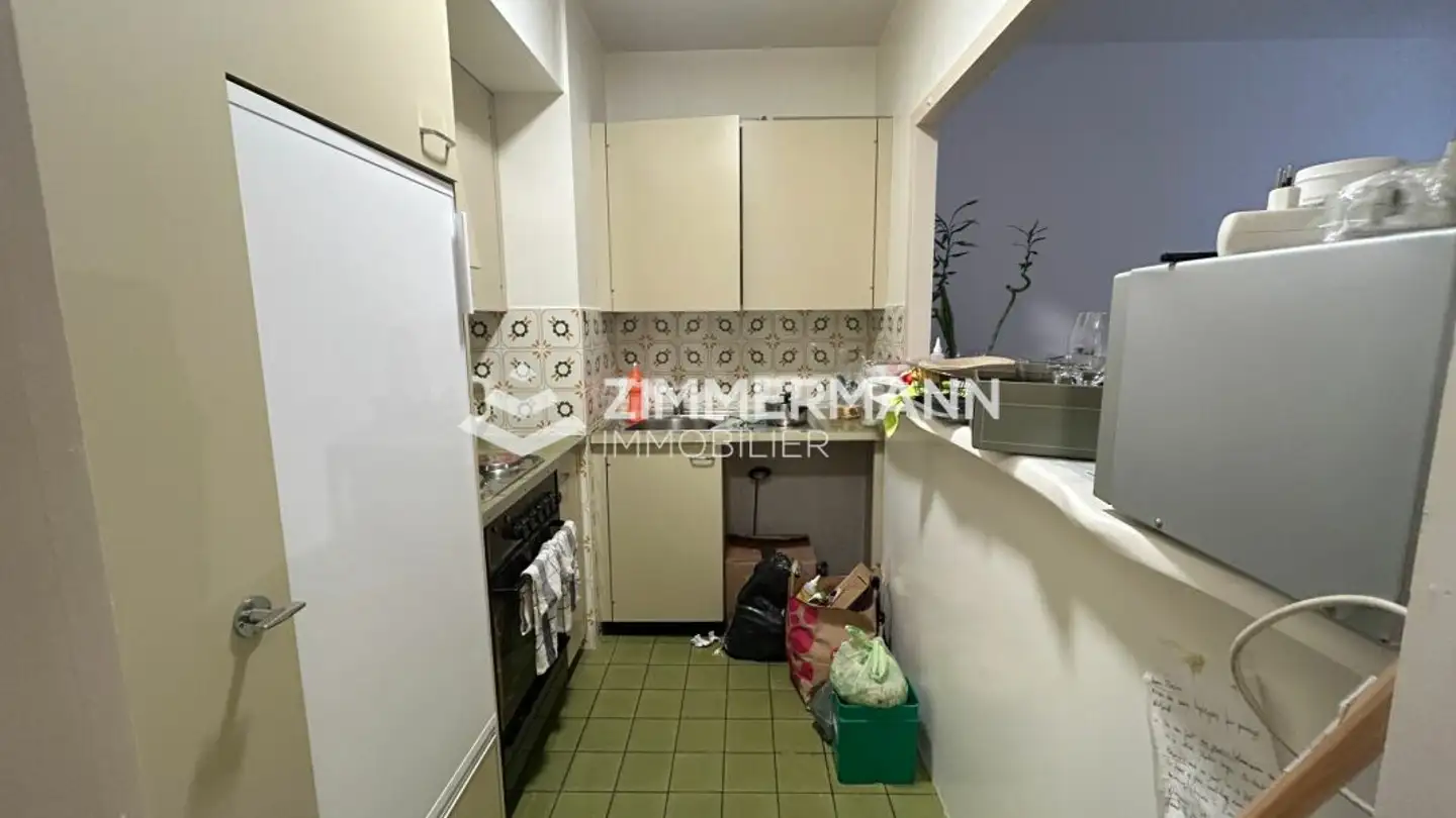 Appartamento in affitto - Rue Jacques- Dalphin, 1227 Carouge GE - Foto 2