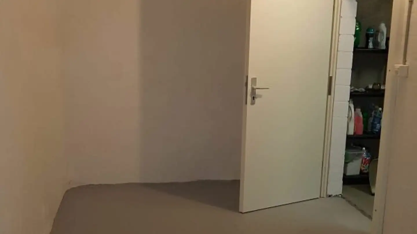 Spazio di archiviazione in affitto - Wiesstrasse 4, 8753 Mollis - Foto 2
