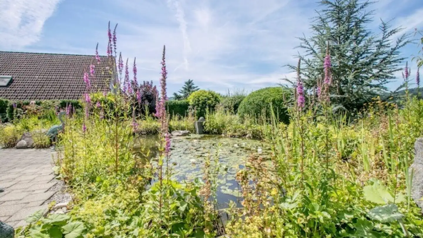 Single house for sale - Im Haller 10, 8424 Embrach - Photo 3