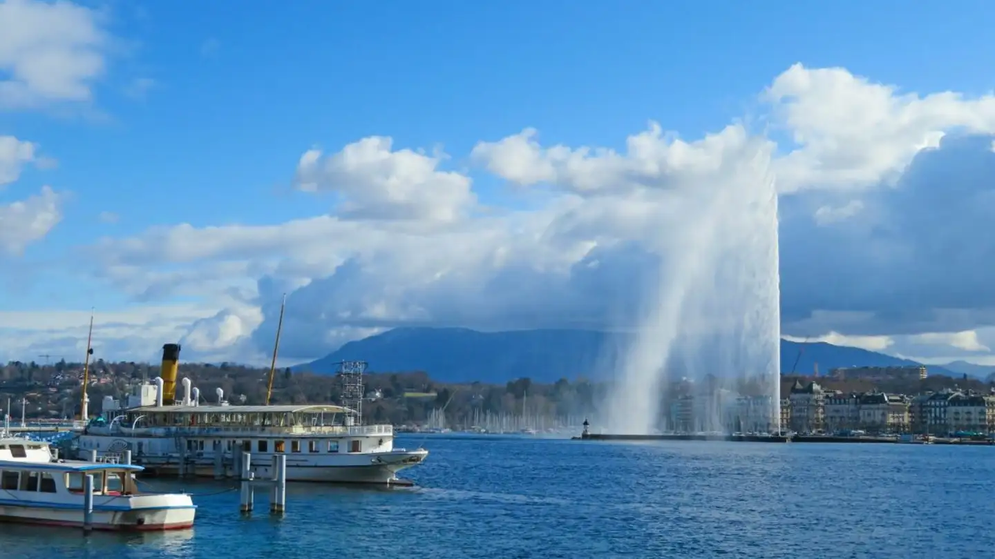 Appartamento in affitto - 1213 Petit-Lancy