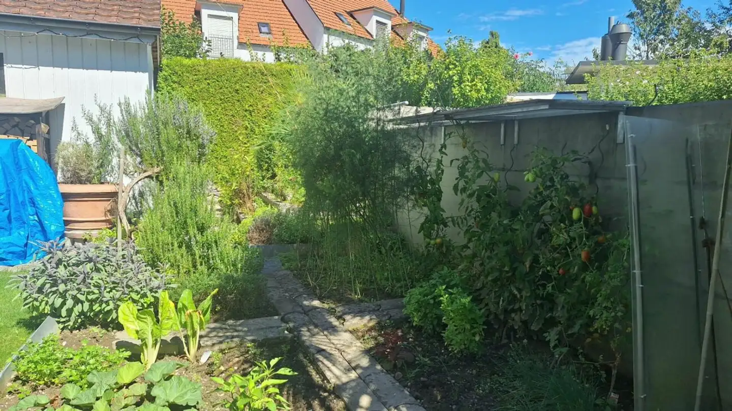 Reihenhaus kaufen - Lärchenstrasse 11, 8953 Dietikon - Foto 3