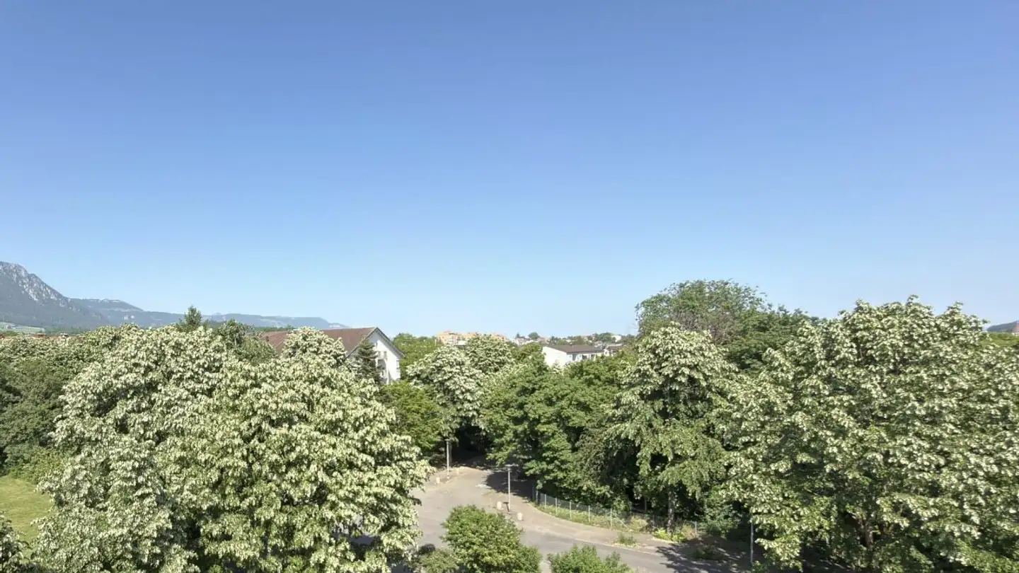 Wohnung mieten - Buchenstrasse 9, 4500 Solothurn - Foto 4