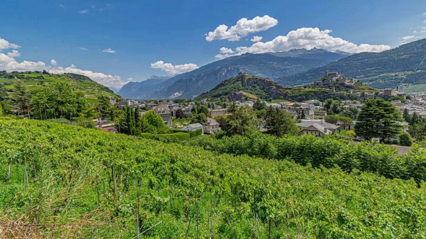 Terreno edificabile in vendita - 1950 Sion