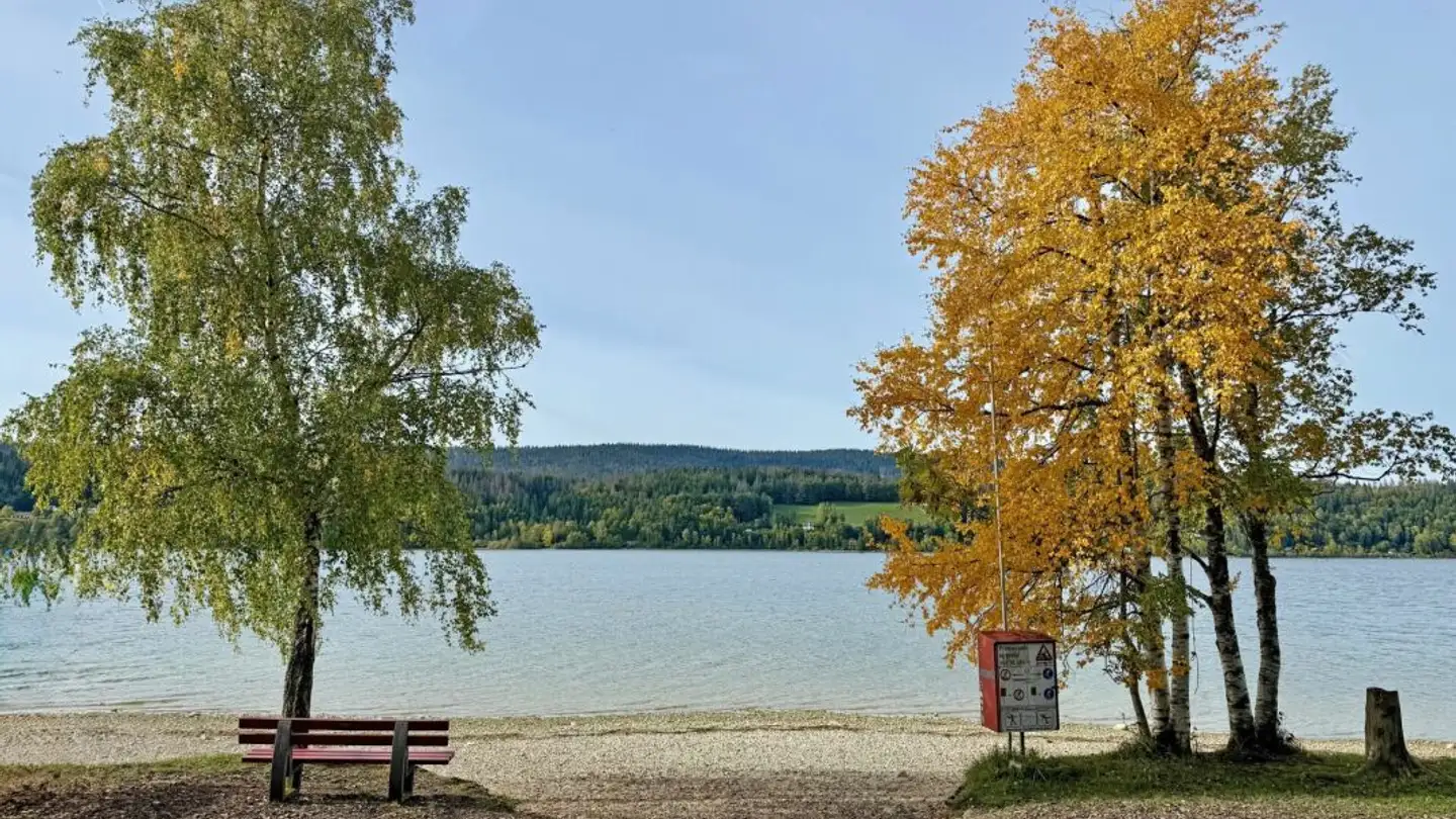 Appartamento in vendita - 1346 Les Bioux