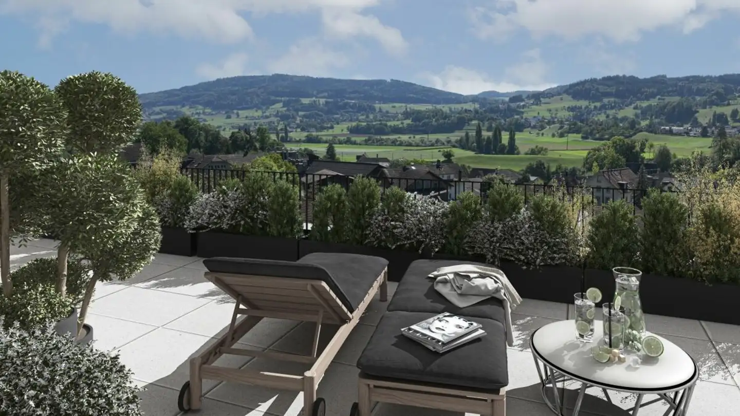 Appartement à vendre - Birrwilerstrasse 63, 5732 Zetzwil - Photo 2