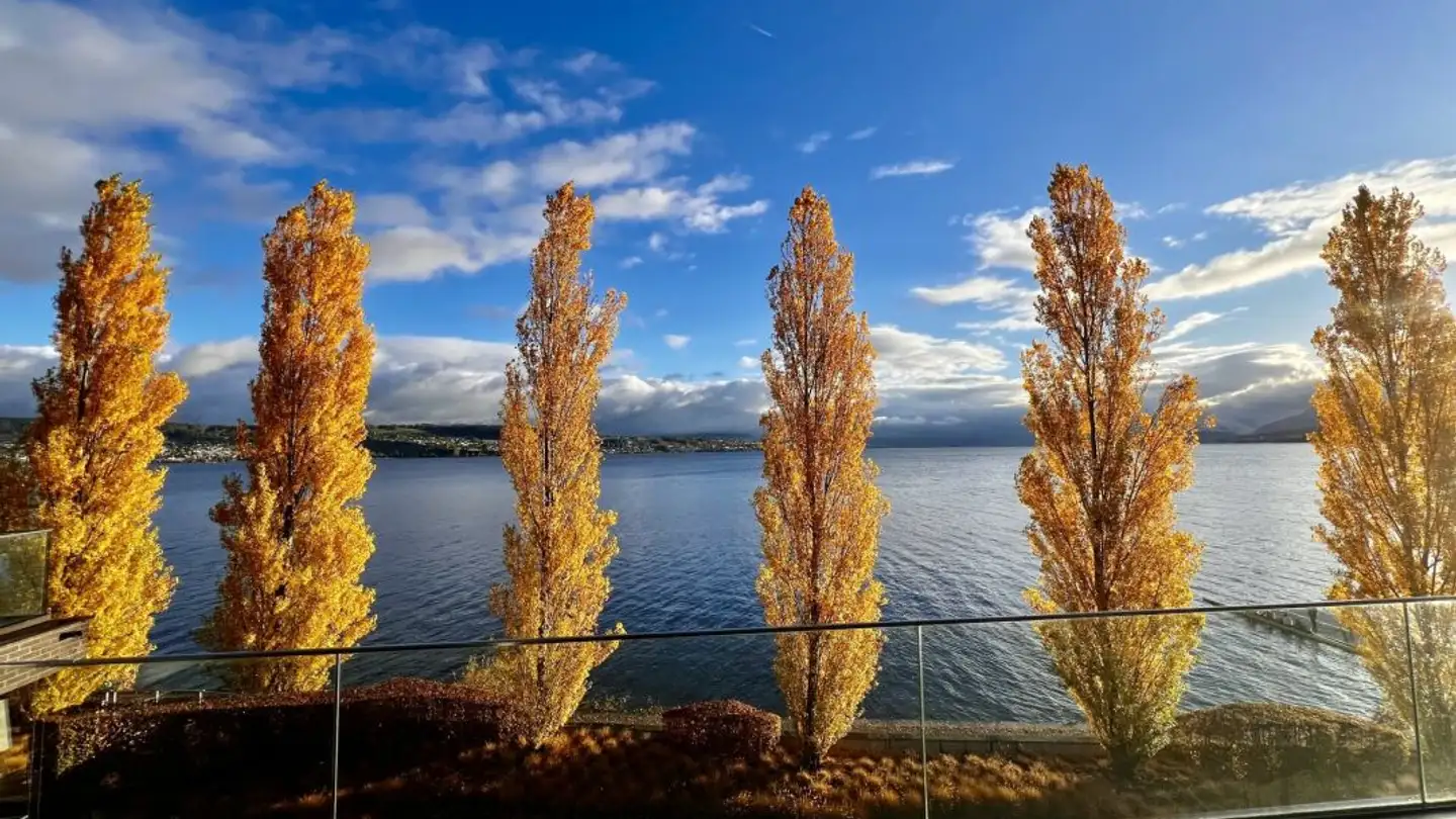 Penthouse for rent - Giessen 18, 8820 Wädenswil