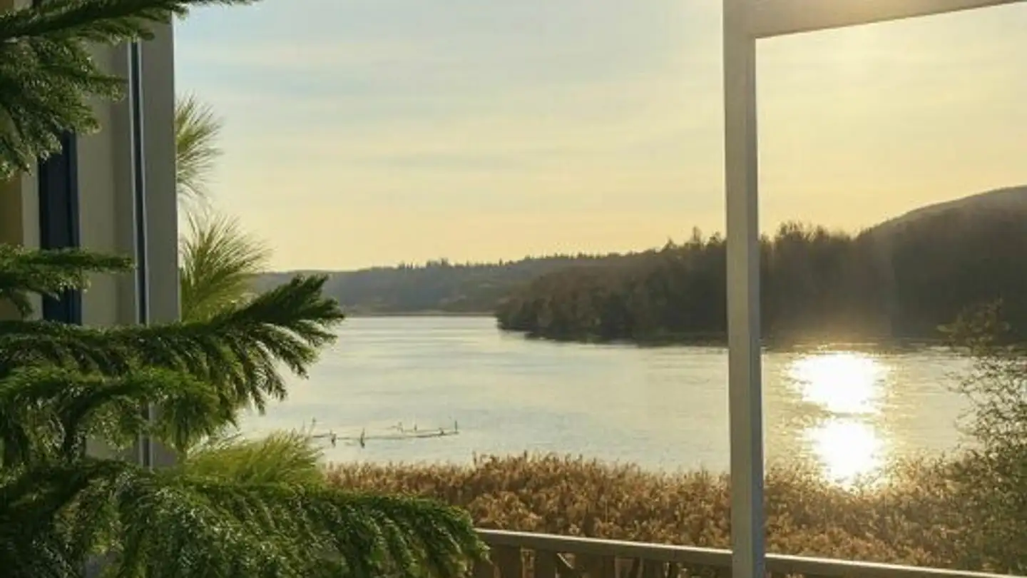 Doppelhaushälfte kaufen - Ölermattstrasse 8, 5116 Schinznach Bad