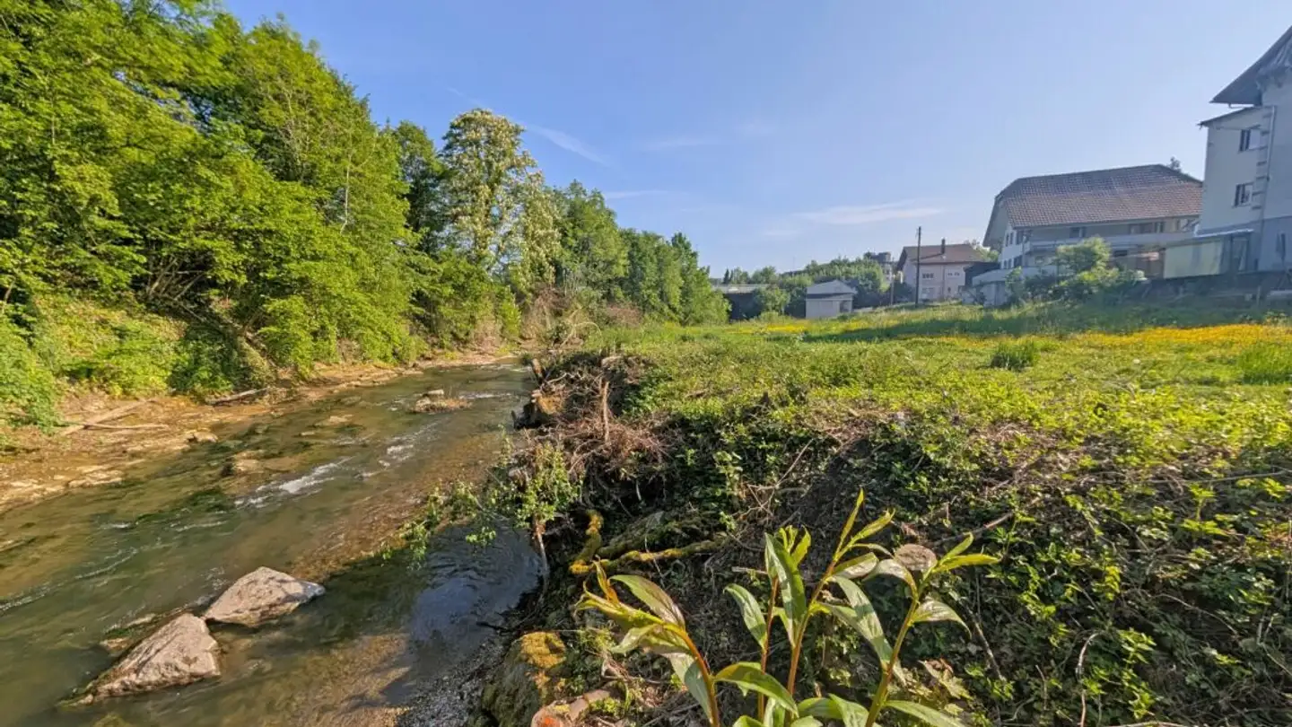 Appartement à vendre - Alte Bernstrasse, 4853 Murgenthal - Photo 4