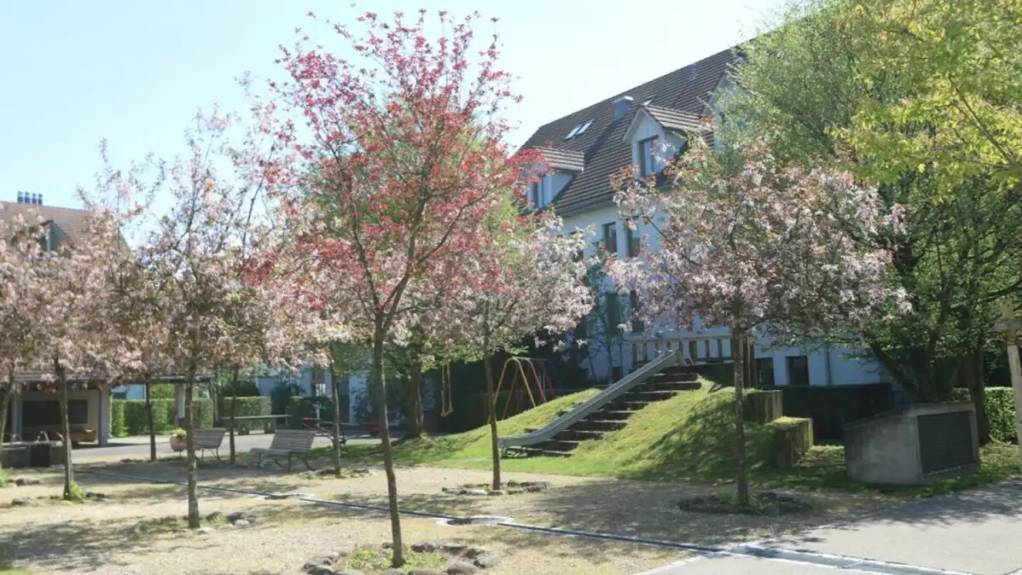 Apartment for rent - Geerenwiesstrasse 7, 8105 Watt - Photo 2