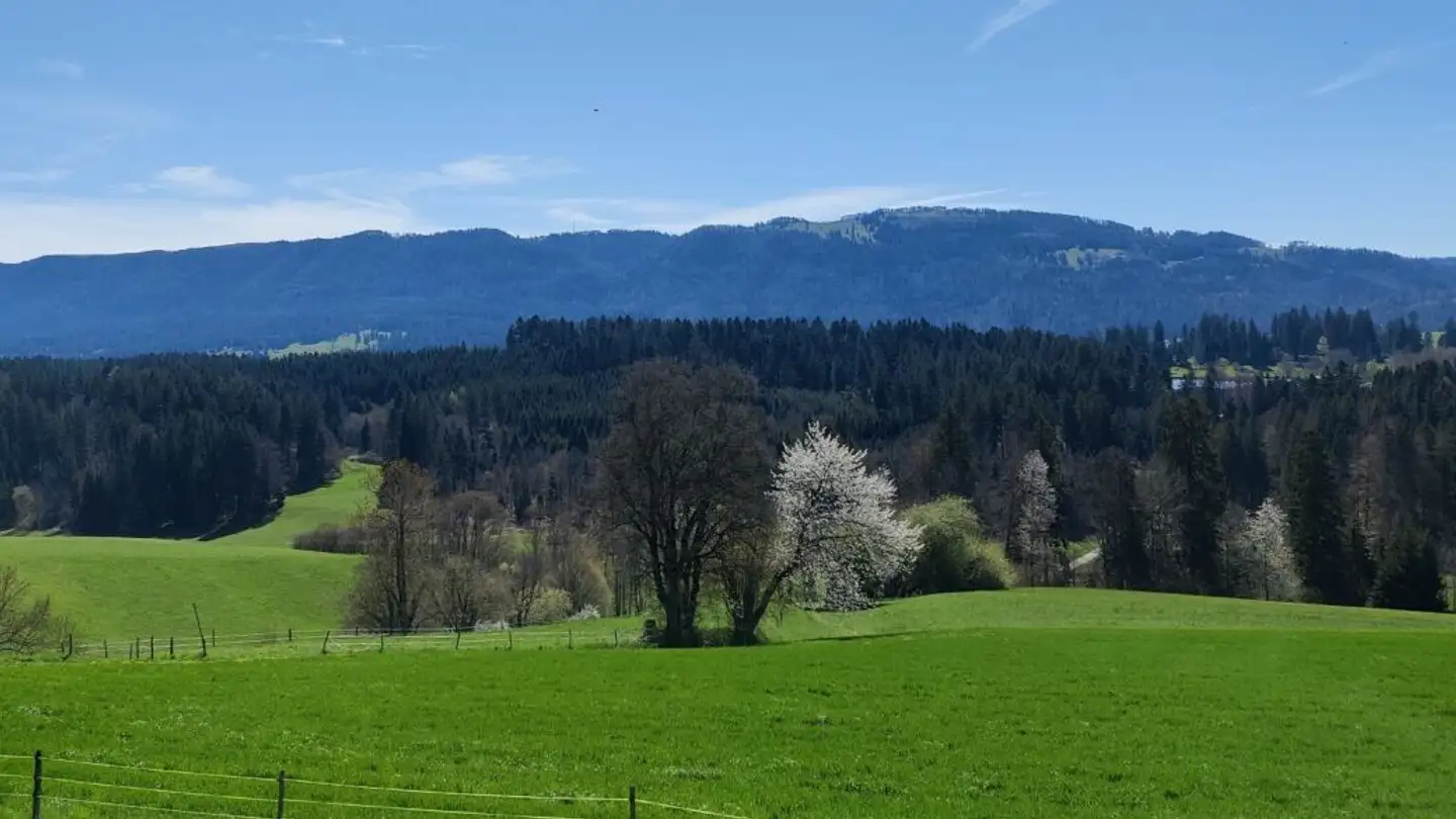 Edificio residenziale in vendita - Route De Bellelay 4, 2712 Le Fuet - Foto 3