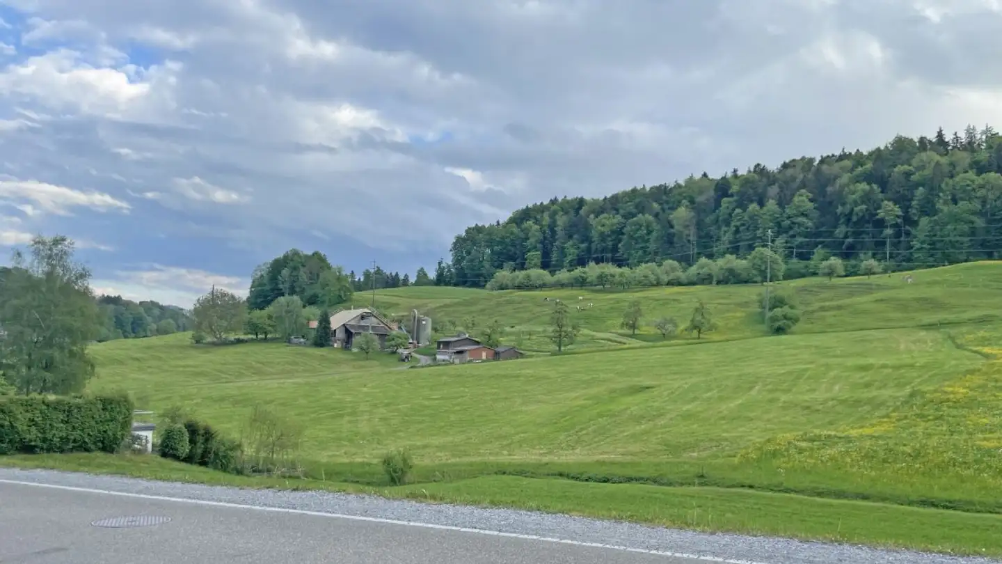 Ferme à vendre - Tüfiweg 367, 9230 Flawil - Photo 4