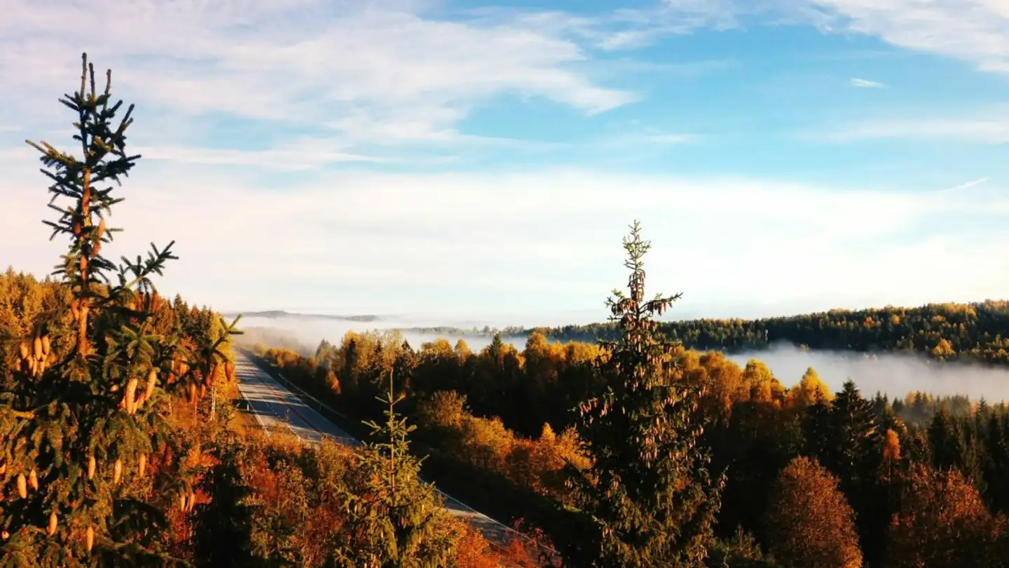 Wohnung mieten - 1255 Veyrier