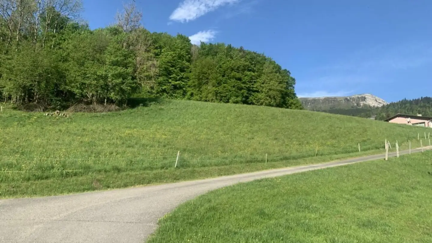 Terreno edificabile in vendita - 1337 Vallorbe - Foto 4