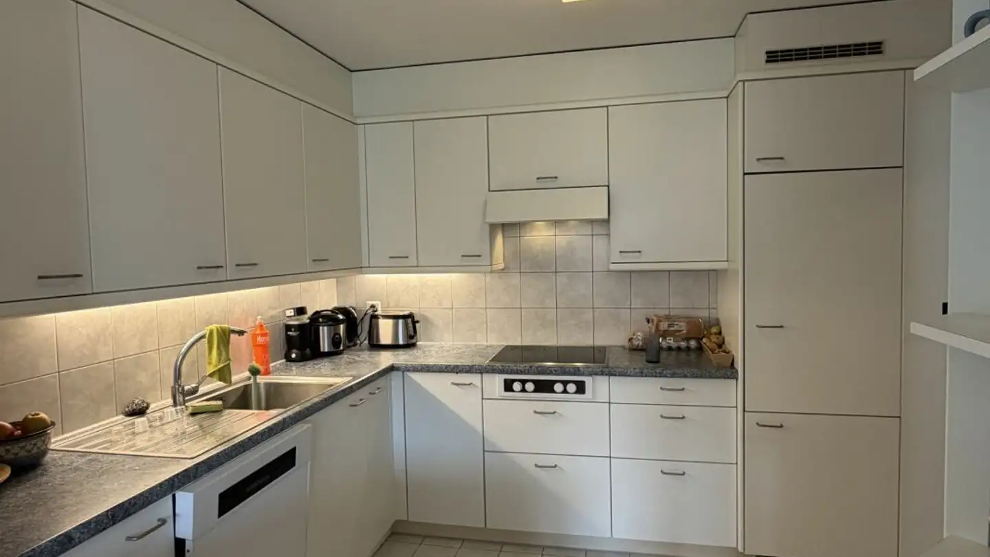 Appartamento in affitto - Büelstrasse 2b, 8132 Hinteregg - Foto 4