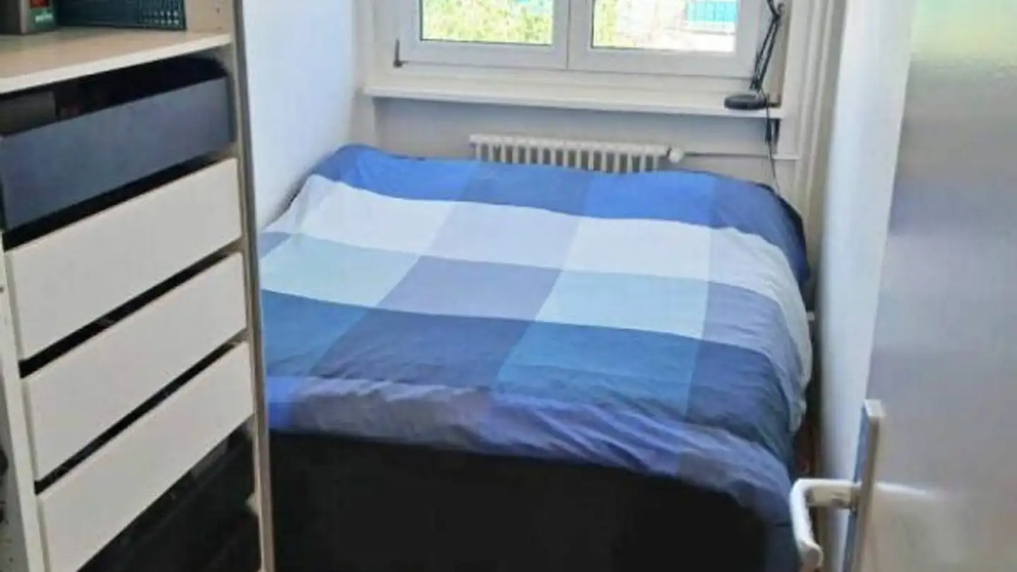Apartment for rent - Rue Peillonnex 40, 1225 Chêne-Bourg - Photo 4