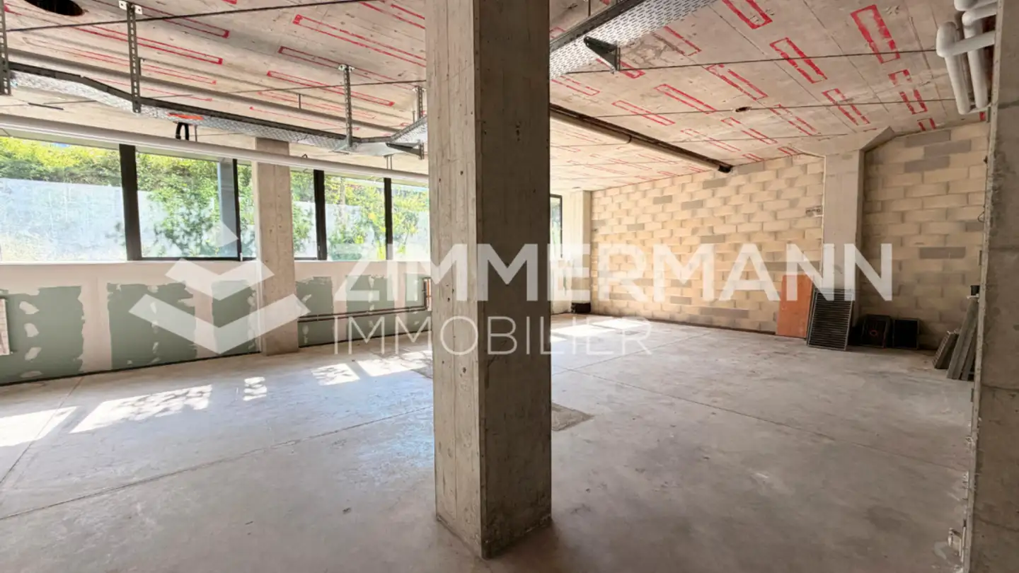 Commerciale in affitto - Route Du Bois 37, 1024 Ecublens VD