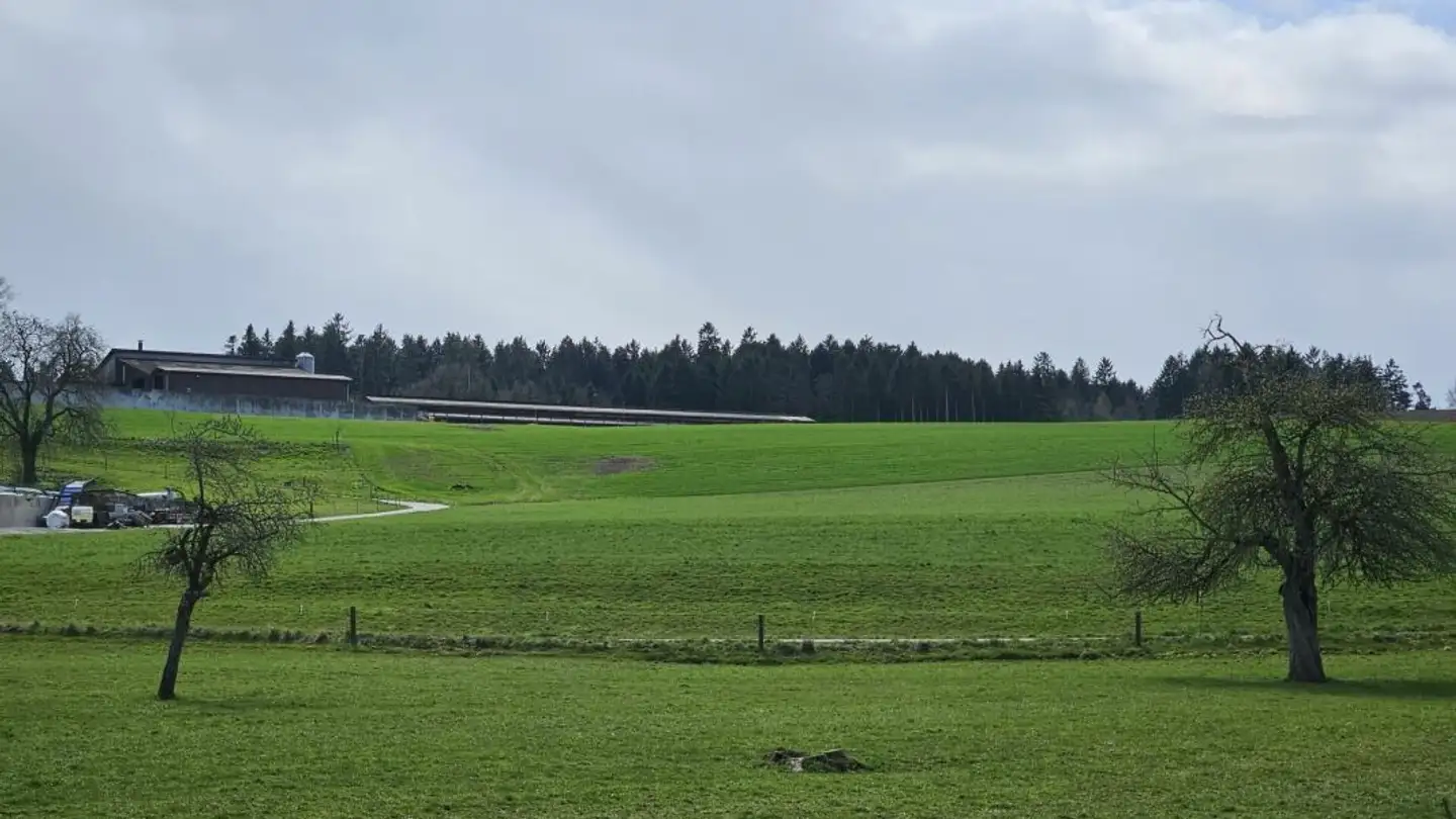 Wohnung kaufen - Liebensberg 8, 8543 Bertschikon - Foto 2