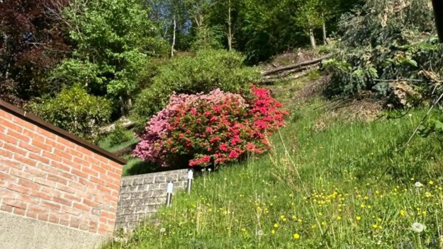 Casa singola in vendita - In Arla 10, 6528 Camorino