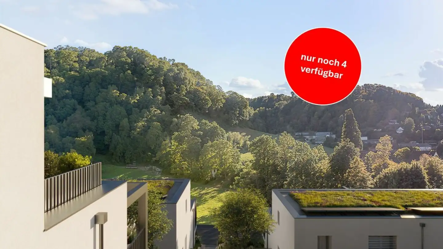 Semi-detached house for sale - Hofstetterstrasse, 4112 Flüh