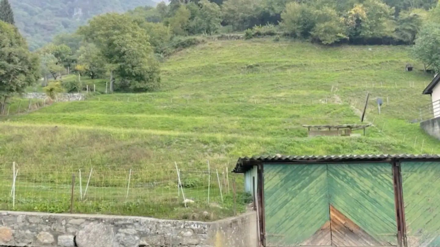 Constructible plot for sale - Stráda Da Pügèrna 51, 6823 Arogno - Photo 2