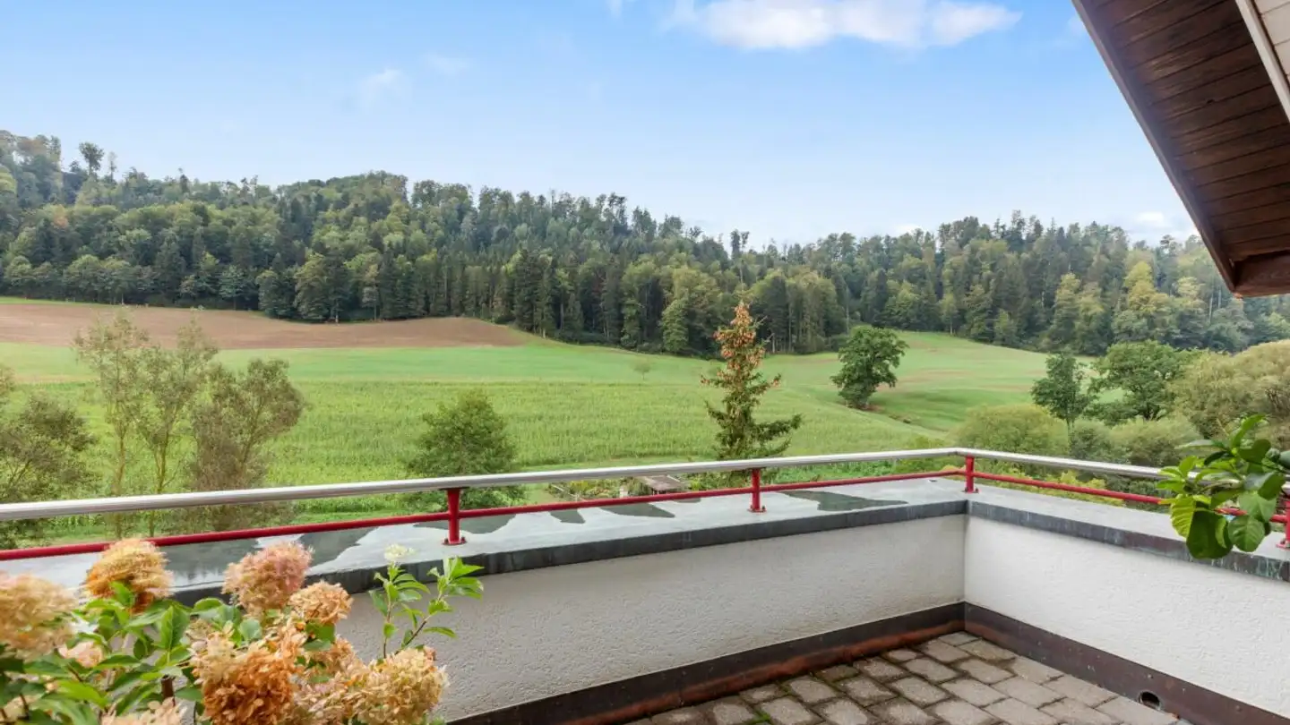 Penthouse for sale - Mettlenstrasse 6, 8488 Turbenthal