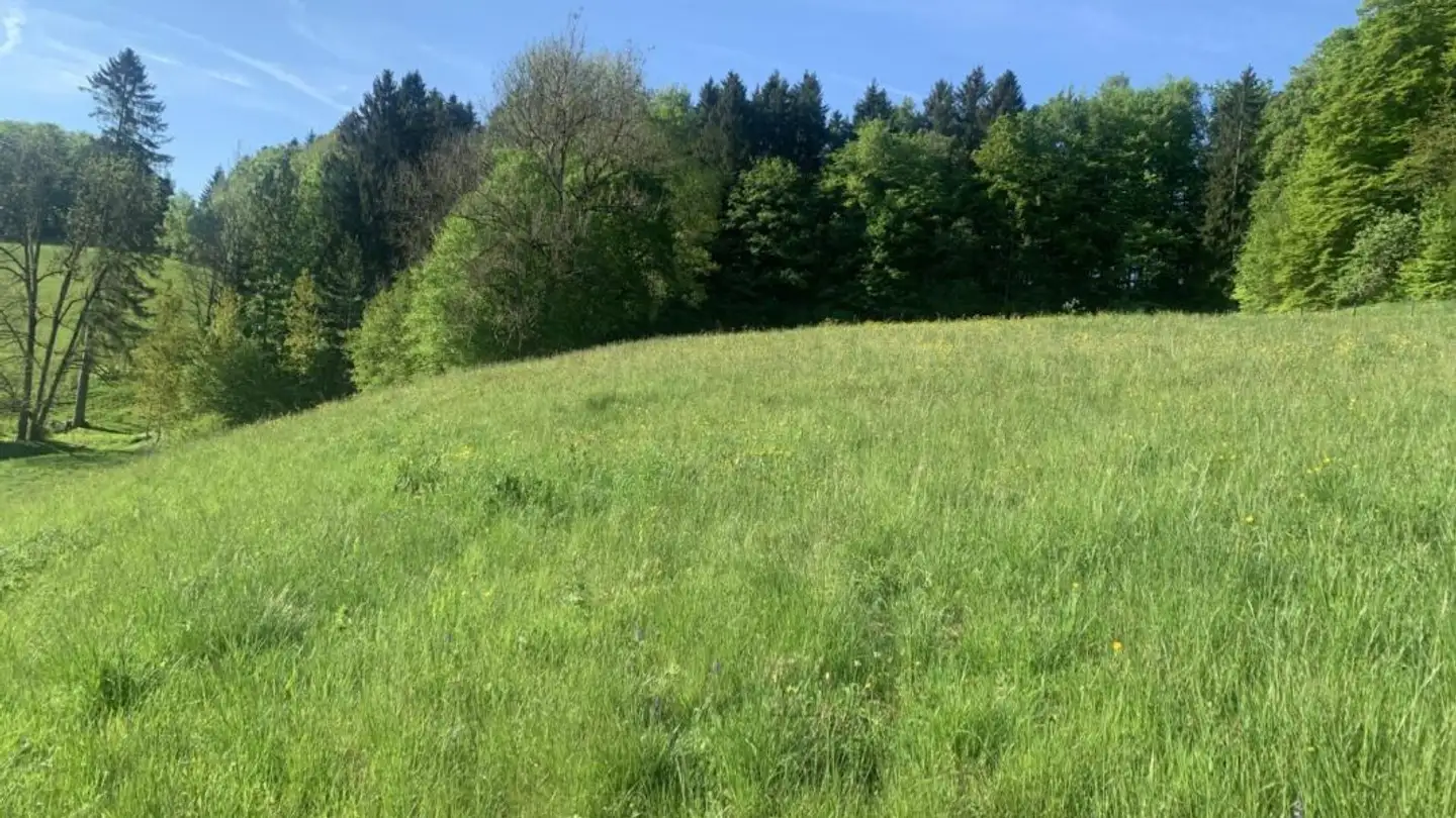 Terreno edificabile in vendita - 1337 Vallorbe - Foto 2